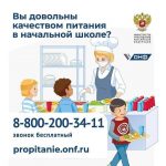 питание